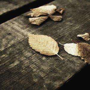 五月天久久婷婷
